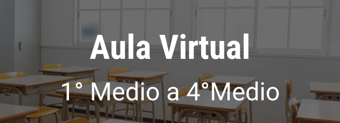 Aula Virtual 1° Medio a 4° Medio